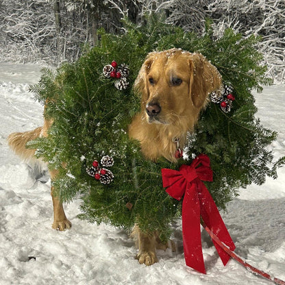 Maine Balsam Wreath